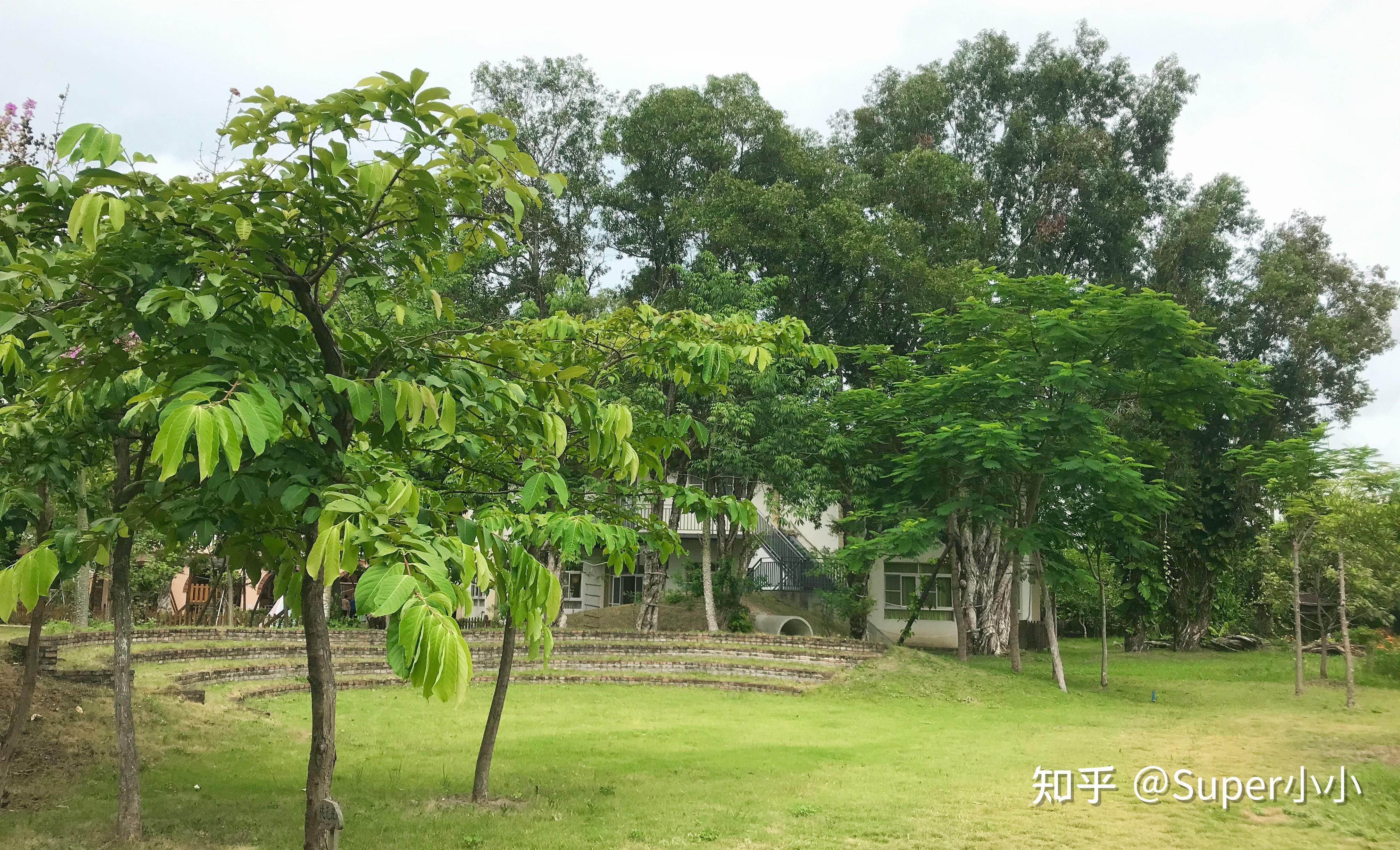 广州有没有正规的华德福