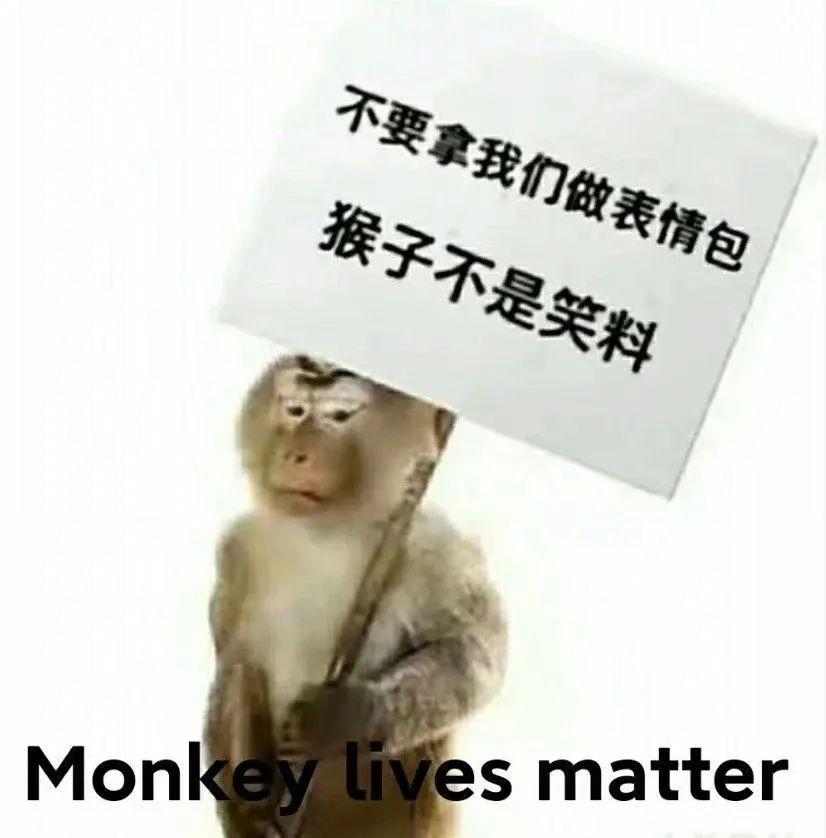 猴子是怎么突然成为中文互联网热门生物的? - 知乎