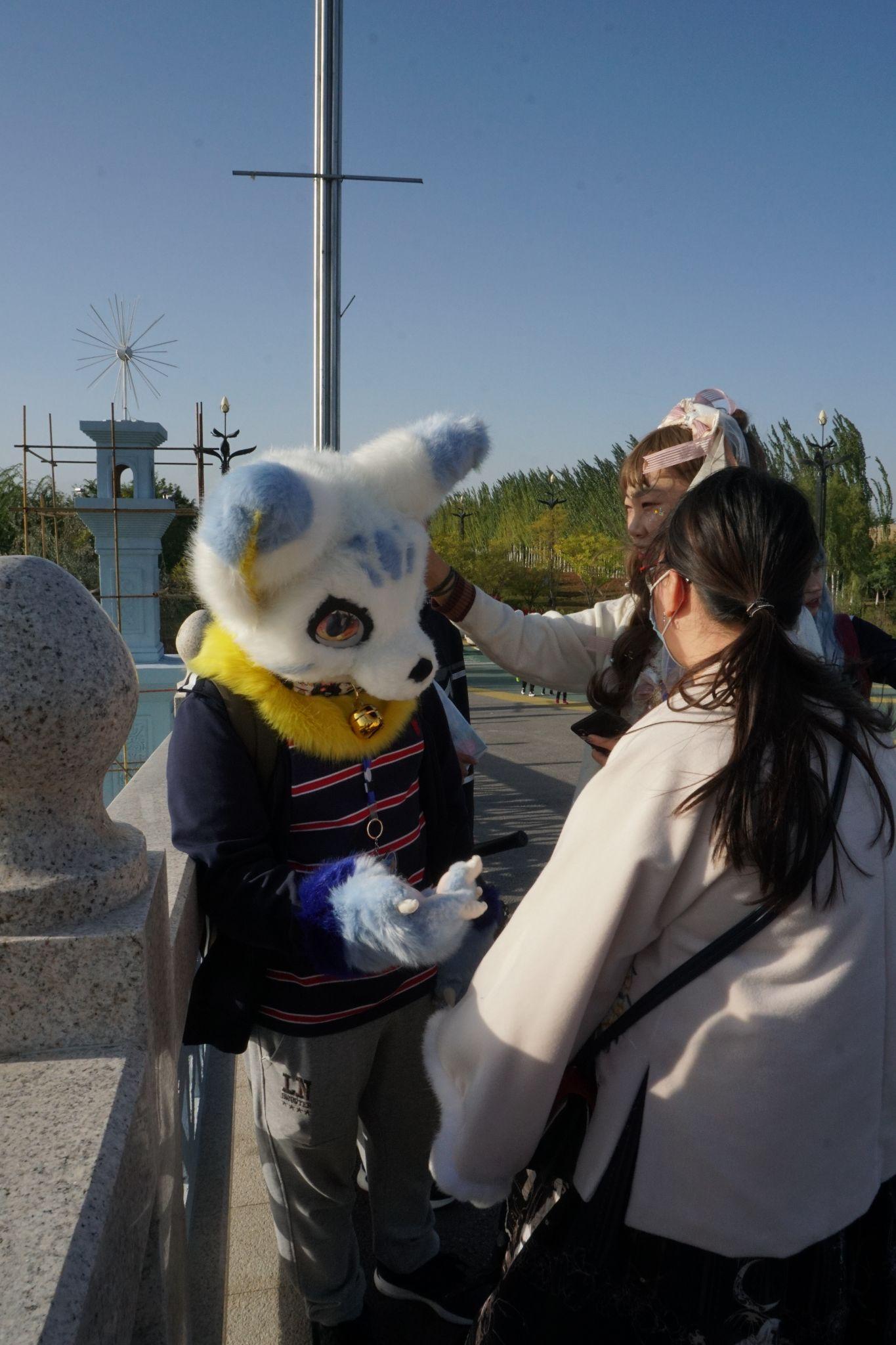兽展和国内综合漫展有何不同? - 知乎