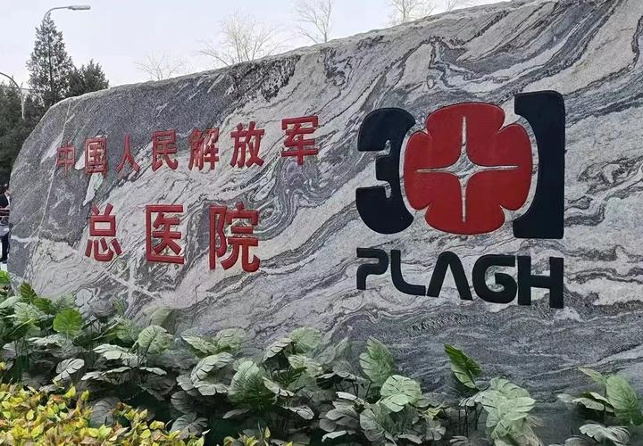 中國人民解放軍總醫院(中國人民解放軍第三O一醫院)黃牛掛號方便快捷的簡單介紹 中國人民解放軍總醫院(中國人民解放軍第三O一醫院)黃牛掛號方便快捷的簡單介紹