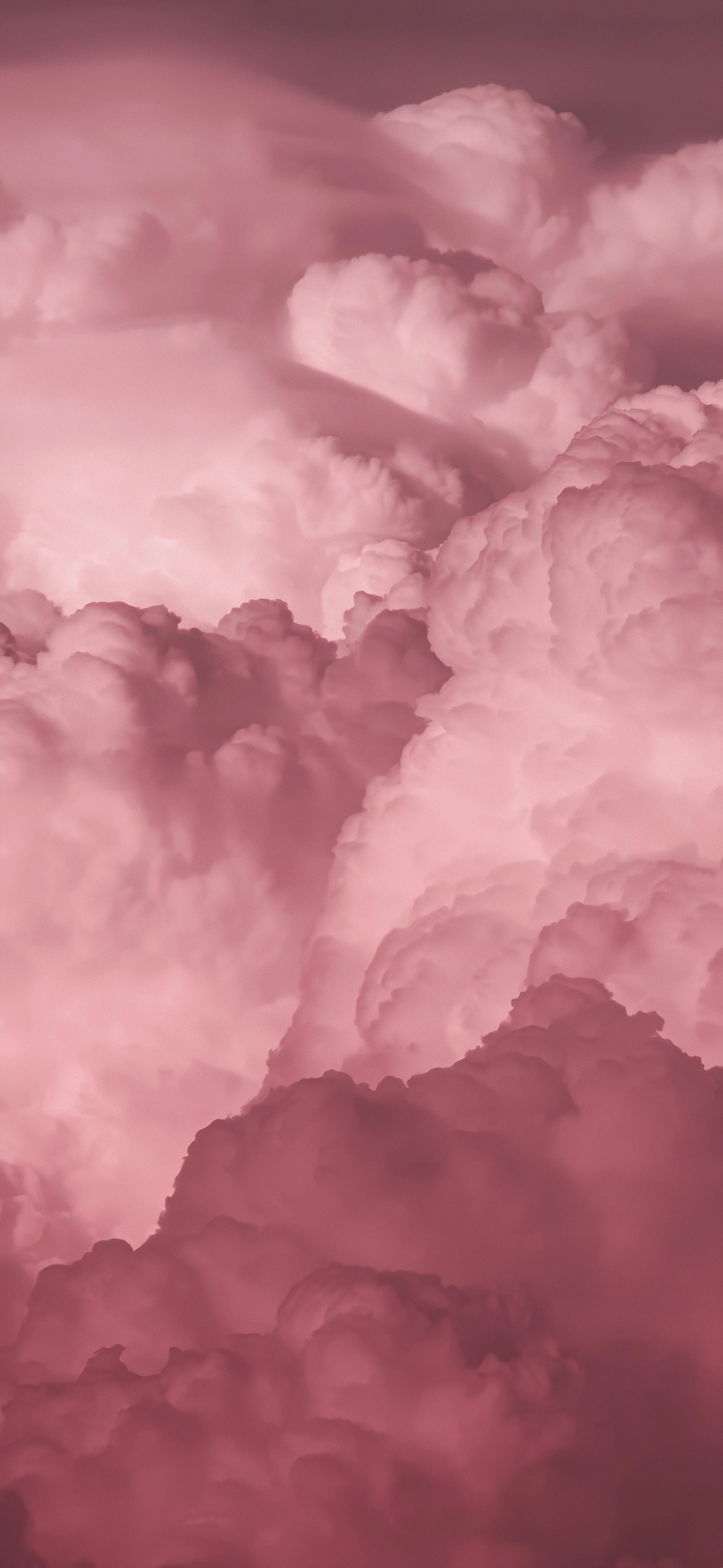Zhihu banner for @nganu
