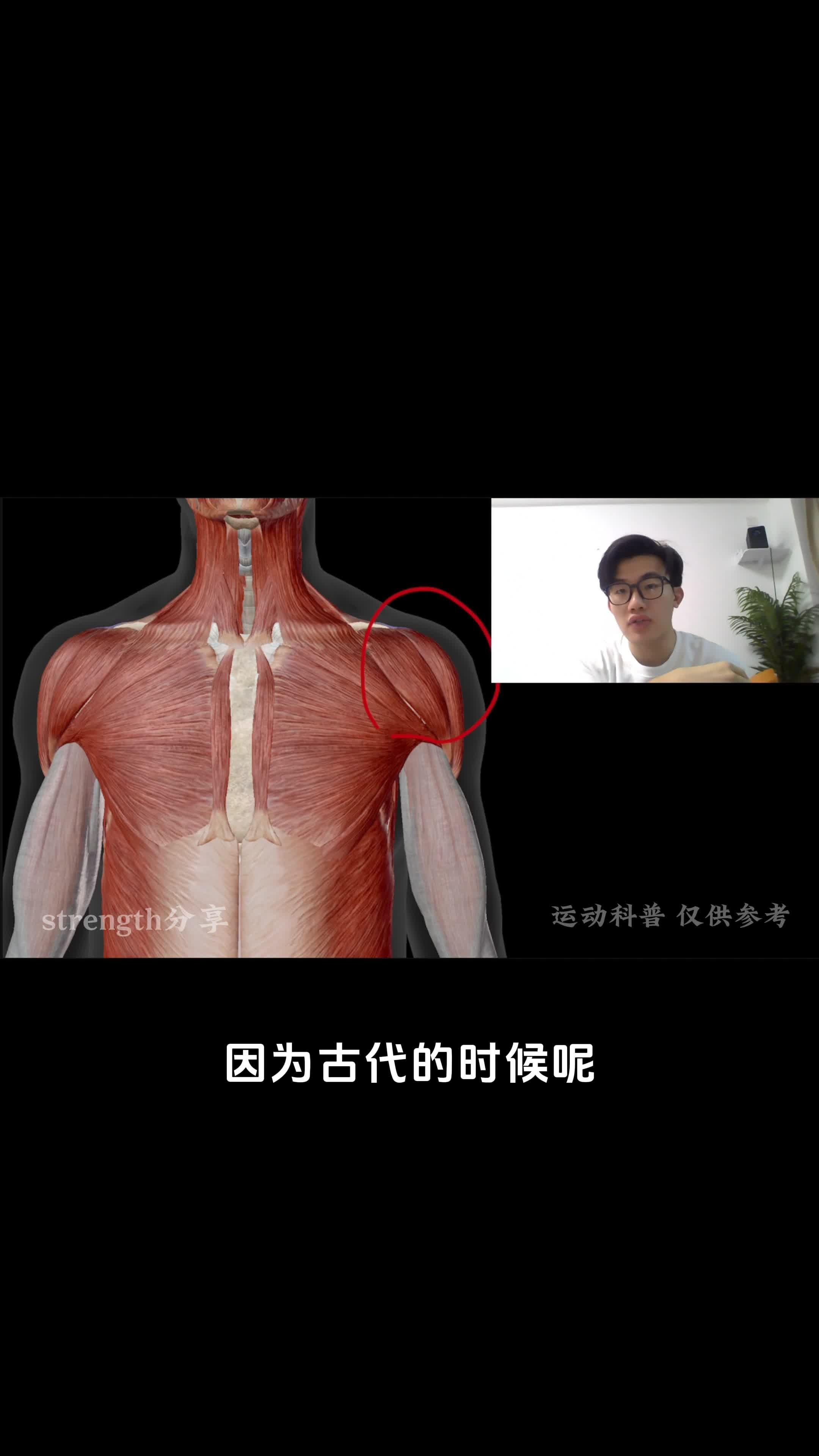 新手该怎么锻炼三角肌