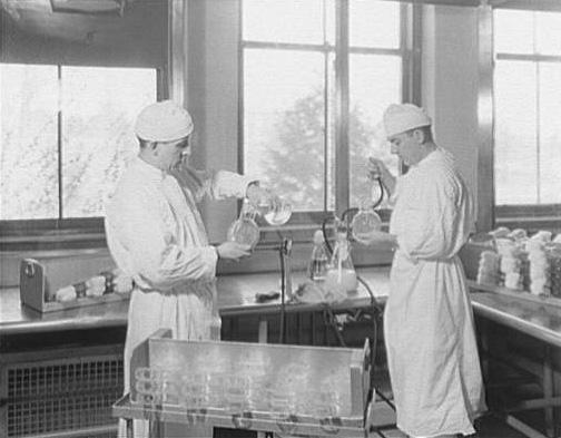 黄热病一例 知乎