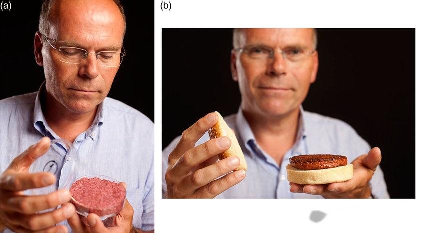 Nature快讯：人工血管系统培育史上最大人造鸡肉，3D打印肉类迎来商业化曙光 - 知乎