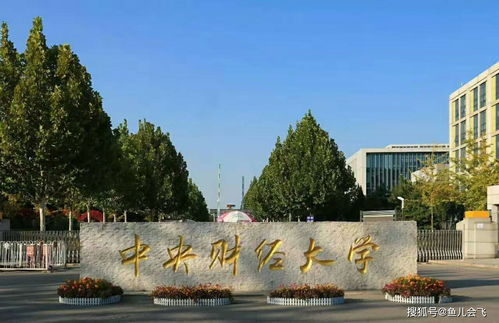 中央财经大学知乎(中央财经大学 知乎)