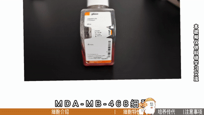 MDA-MB-468细胞培养，人乳腺癌细胞培养攻略 - 丰晖生物 - 知乎