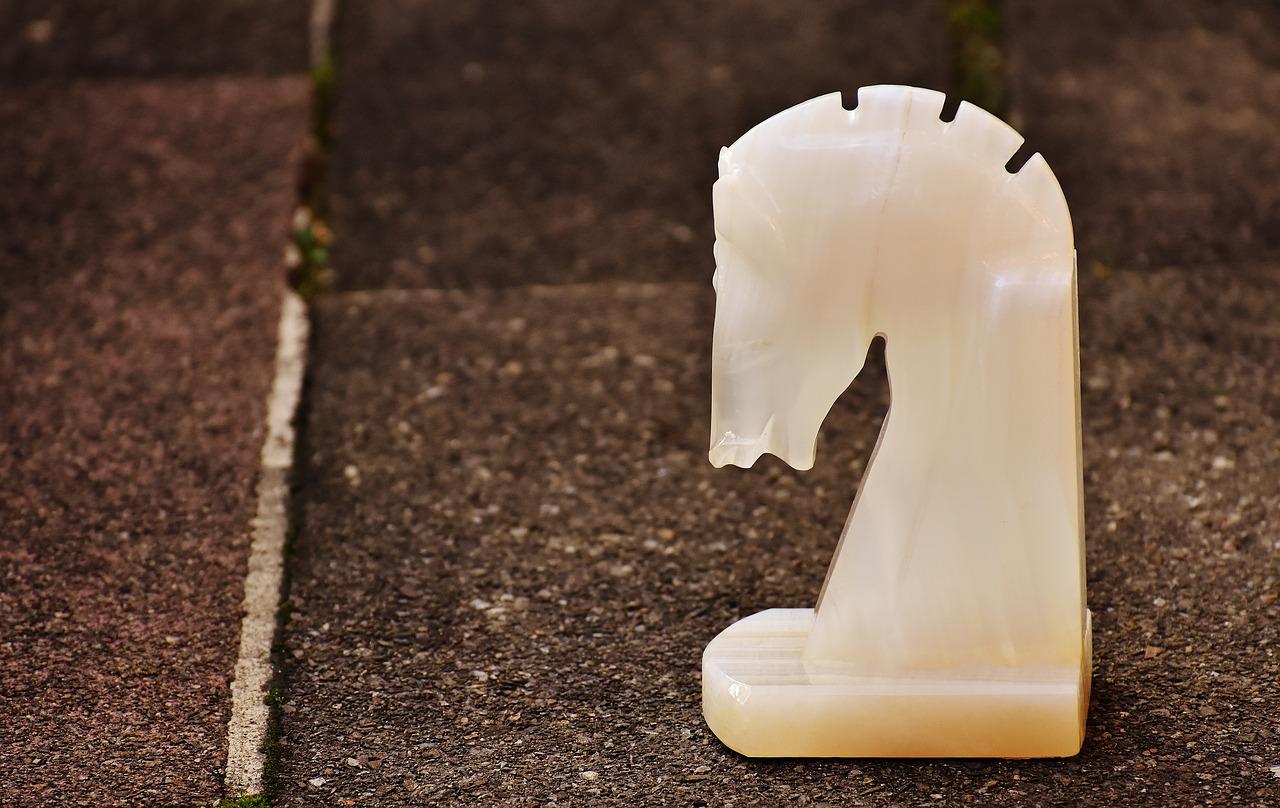 2. 独特纹理鉴赏