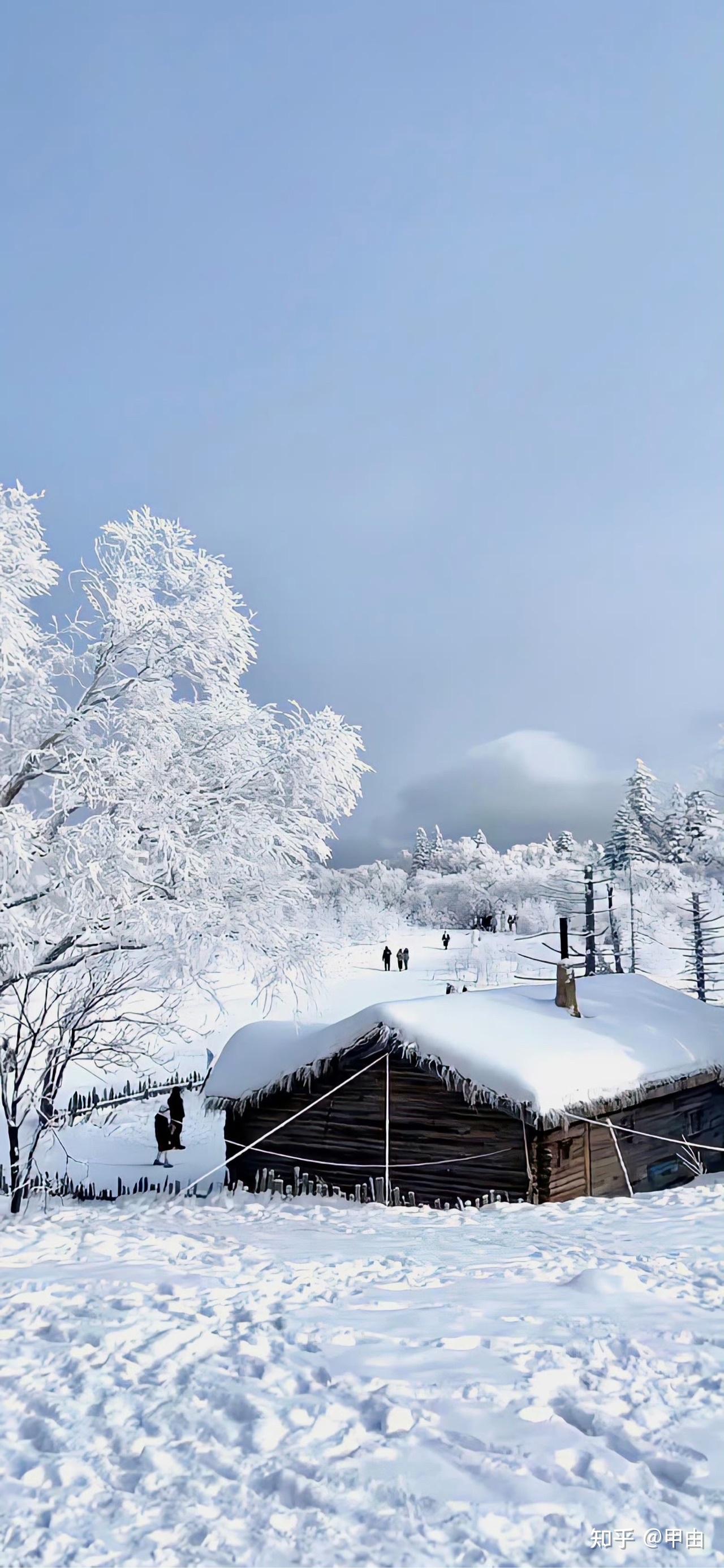 有哪些迷人的雪景照片吗?