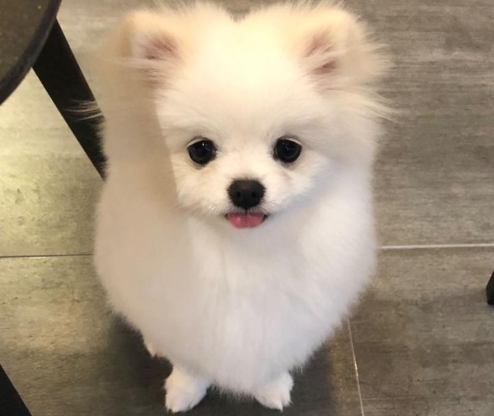 Ilya What AI Is Making Possible 7 18 ilya-what-ai-is-making-possible-7-18