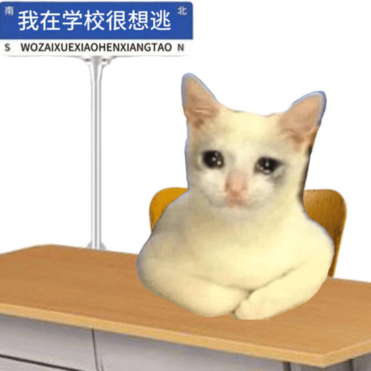 有什么适合大学生的表情包? - 知乎