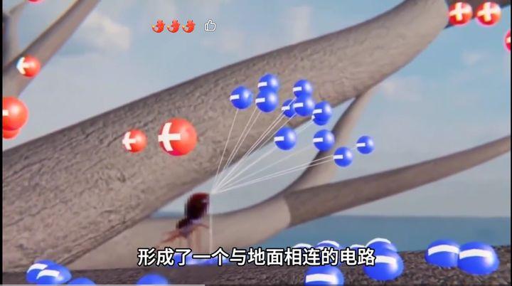 飞天蜘蛛是如何掌握飞行技巧的?