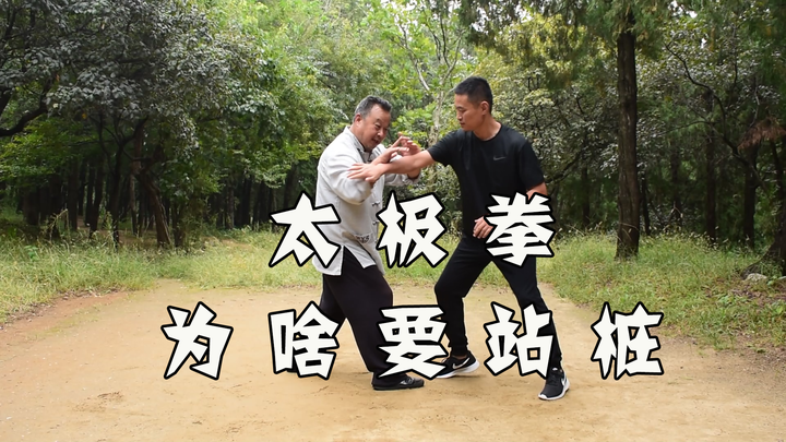 为啥练太极拳对桩功这么看重?桩站对了,功才有希望 - 知乎