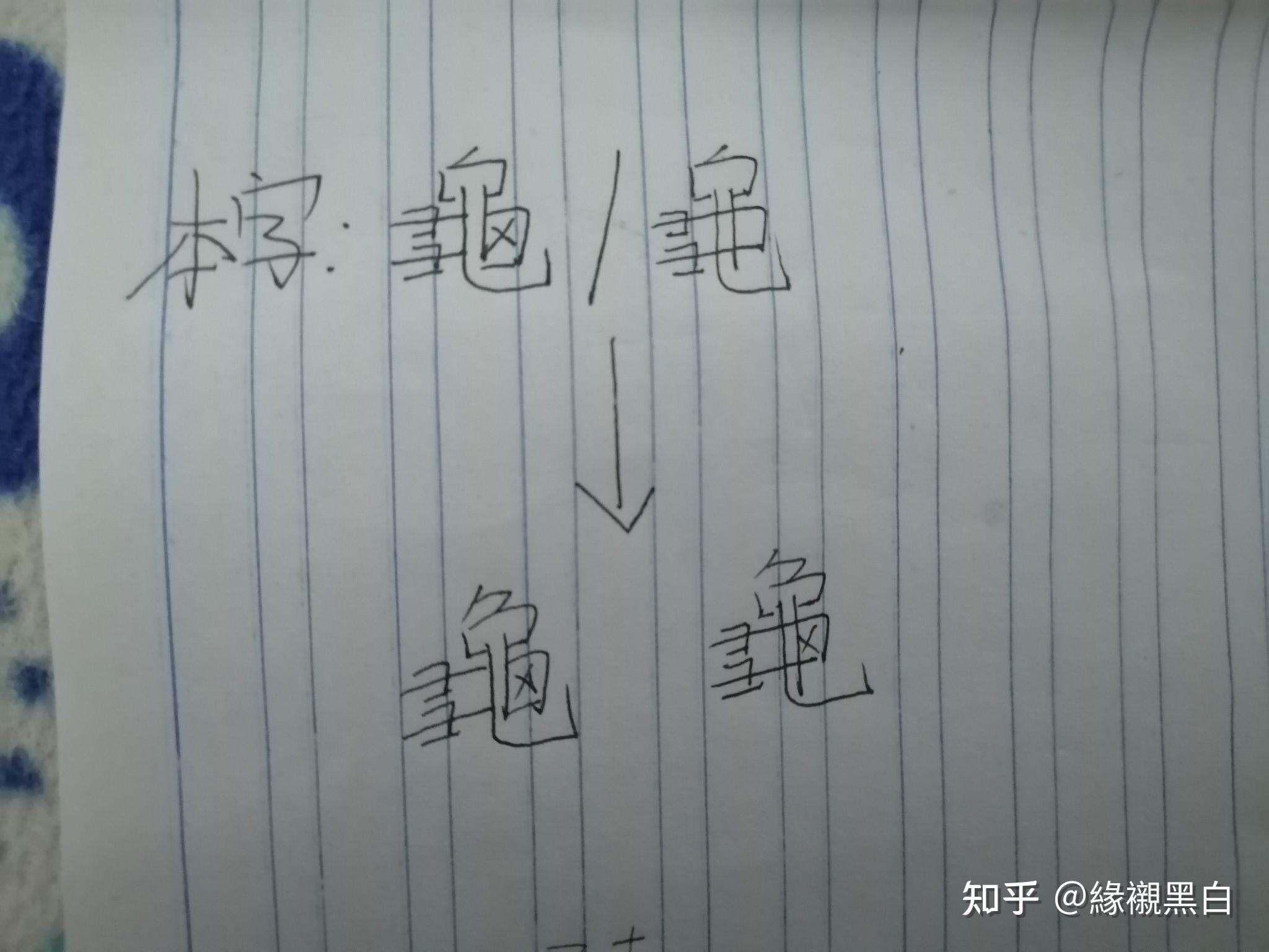 请问「龟」字繁体正字何时由「龜」变为「龜」？ - 知乎