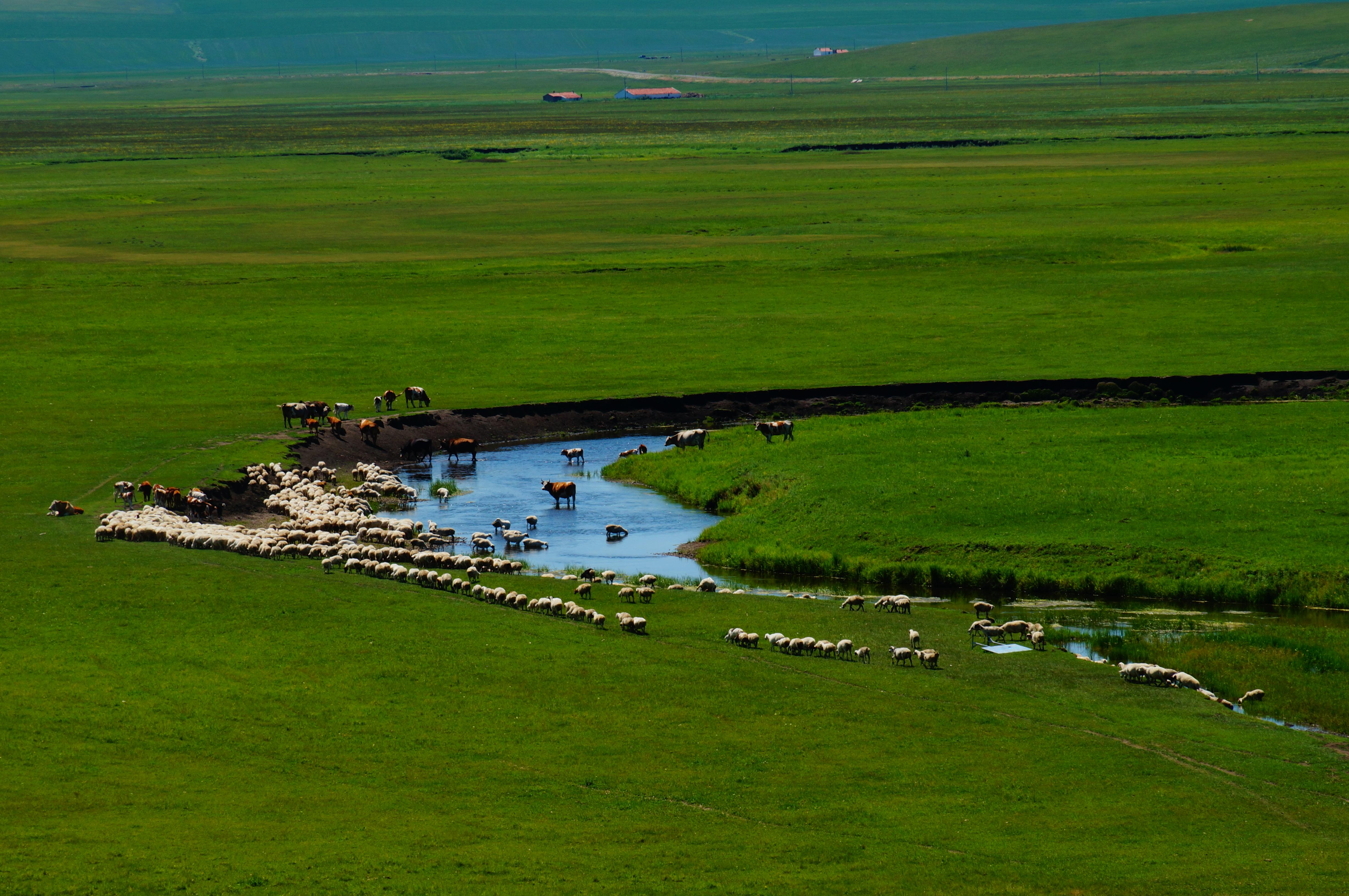 乌拉盖河,这里的母亲河
