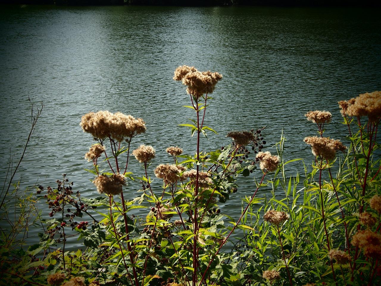 建行查询贷款怎么认证