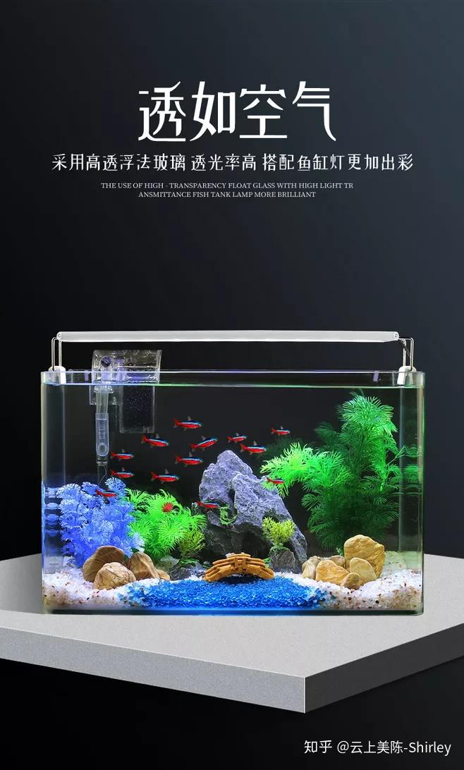 金魚缸怎麼佈置