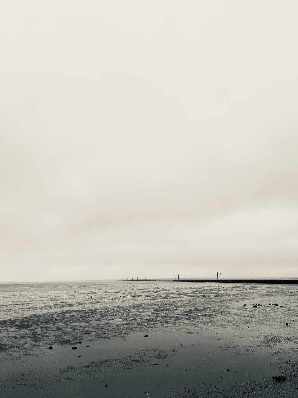 区域供需关系解析