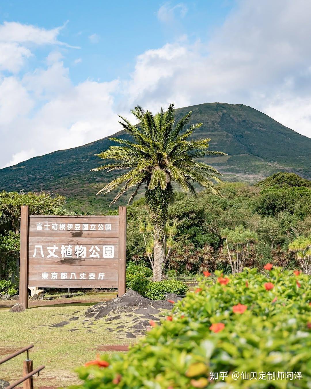 八丈岛 | 东京出发1h挖到的秘境小岛!名气不及冲绳1%,景色却堪比夏威夷! - 知乎
