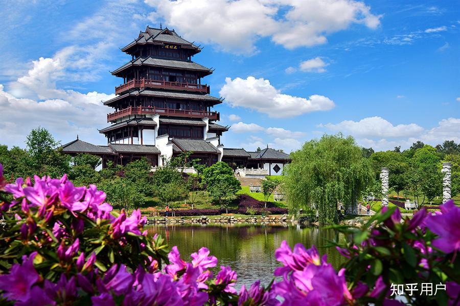 即将出发去「绿藤市」旅行,有哪些需要注意的?