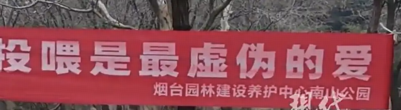 烟台一动物园现硬核禁投标语「投喂是最虚伪的爱」「爱吃你自己吃」等，目前已暂时撤下，硬核标语效果更好吗？
