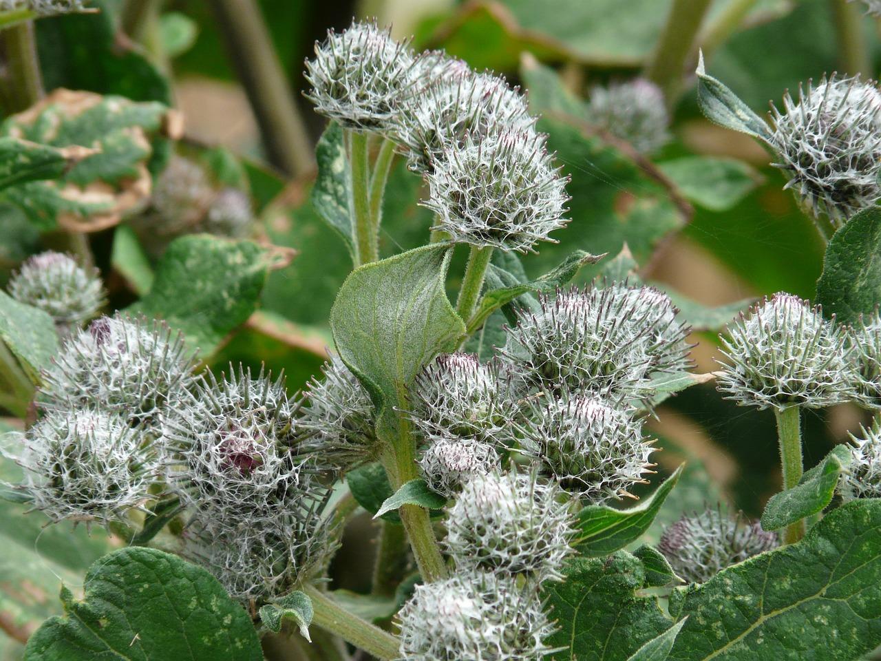 5. 考虑养护难度