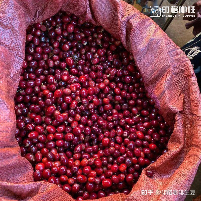 上新 | 埃塞俄比亚新产季西达摩CoE获奖产区精选豆，升级豆单的性价比之选！ - 知乎
