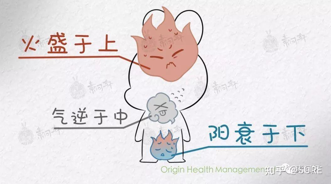 心血虚心气虚是什么原因造成的呢