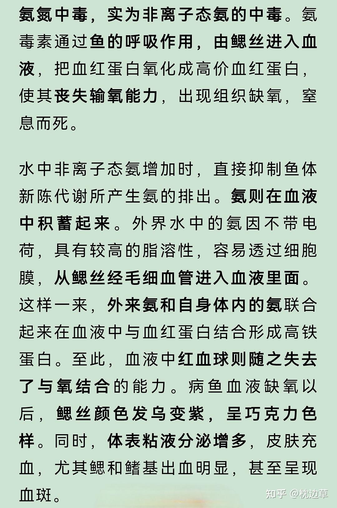 鱼冻老师病患图片