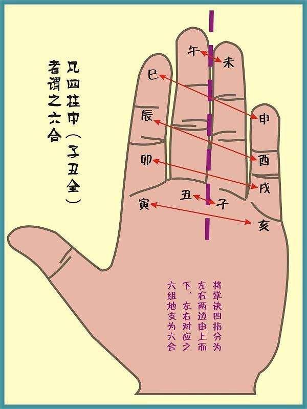 琴鹤堂易学说八字:地支六合取象 - 知乎