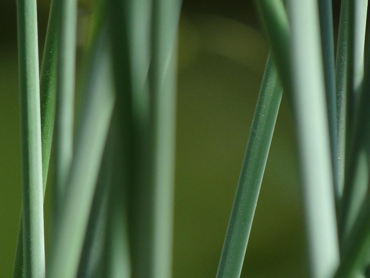 4. 环境优美宜居