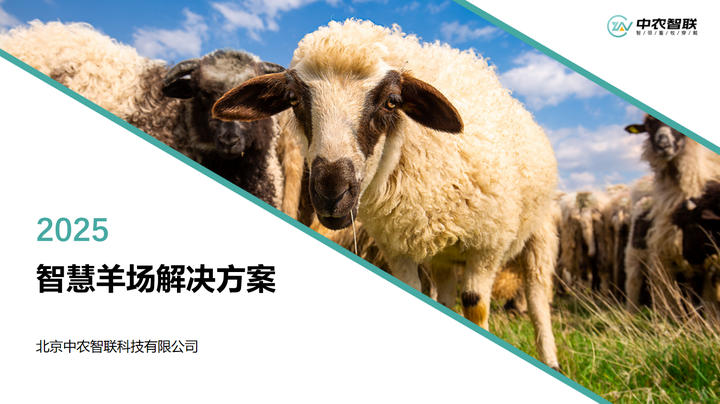 告别“凭经验养羊”!中农智联智慧羊场方案,让养羊更省心、更赚钱! - 知乎