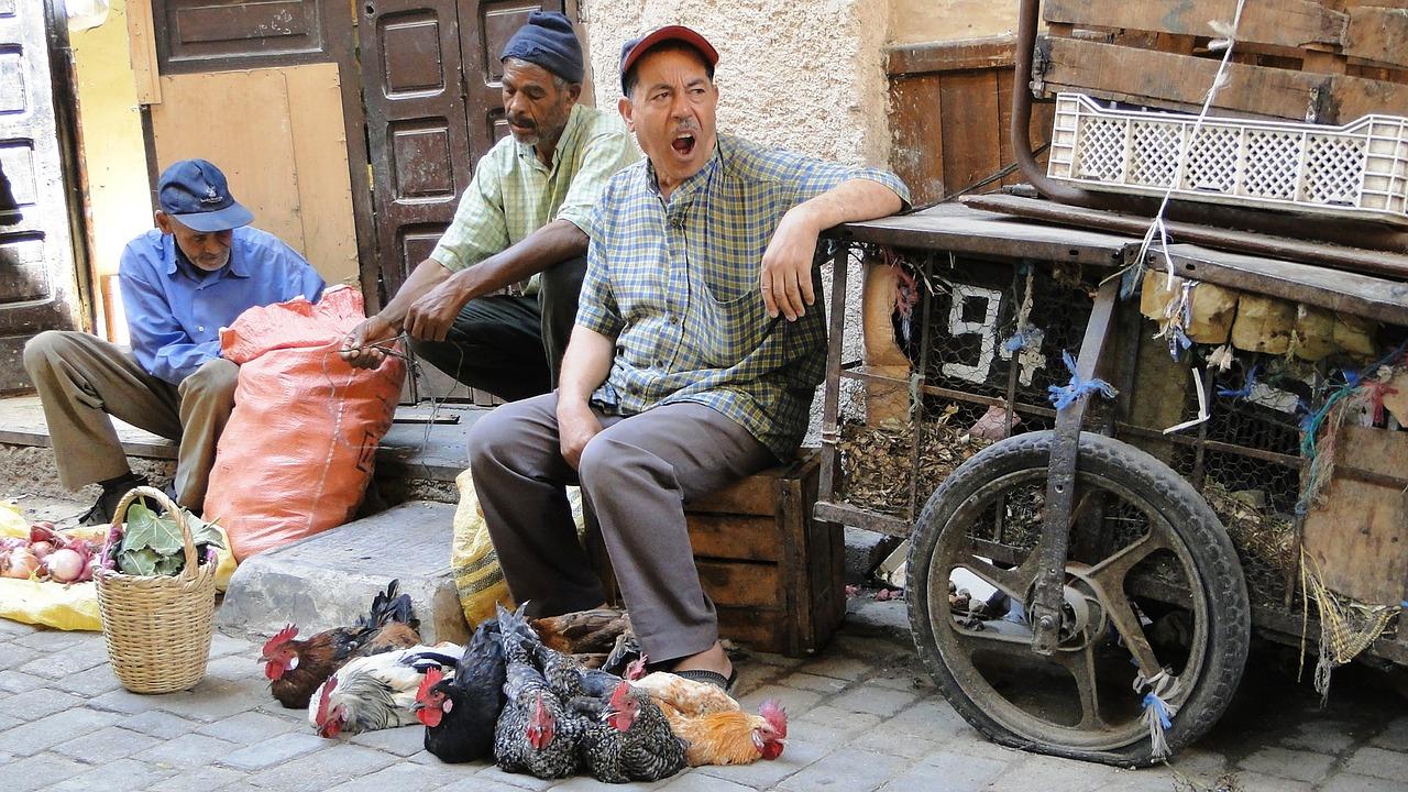 北非宜居地房产特点