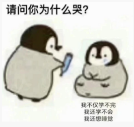 从考研到职场，我靠科大讯飞AI录音笔Pokee提升学习工作效率的秘密