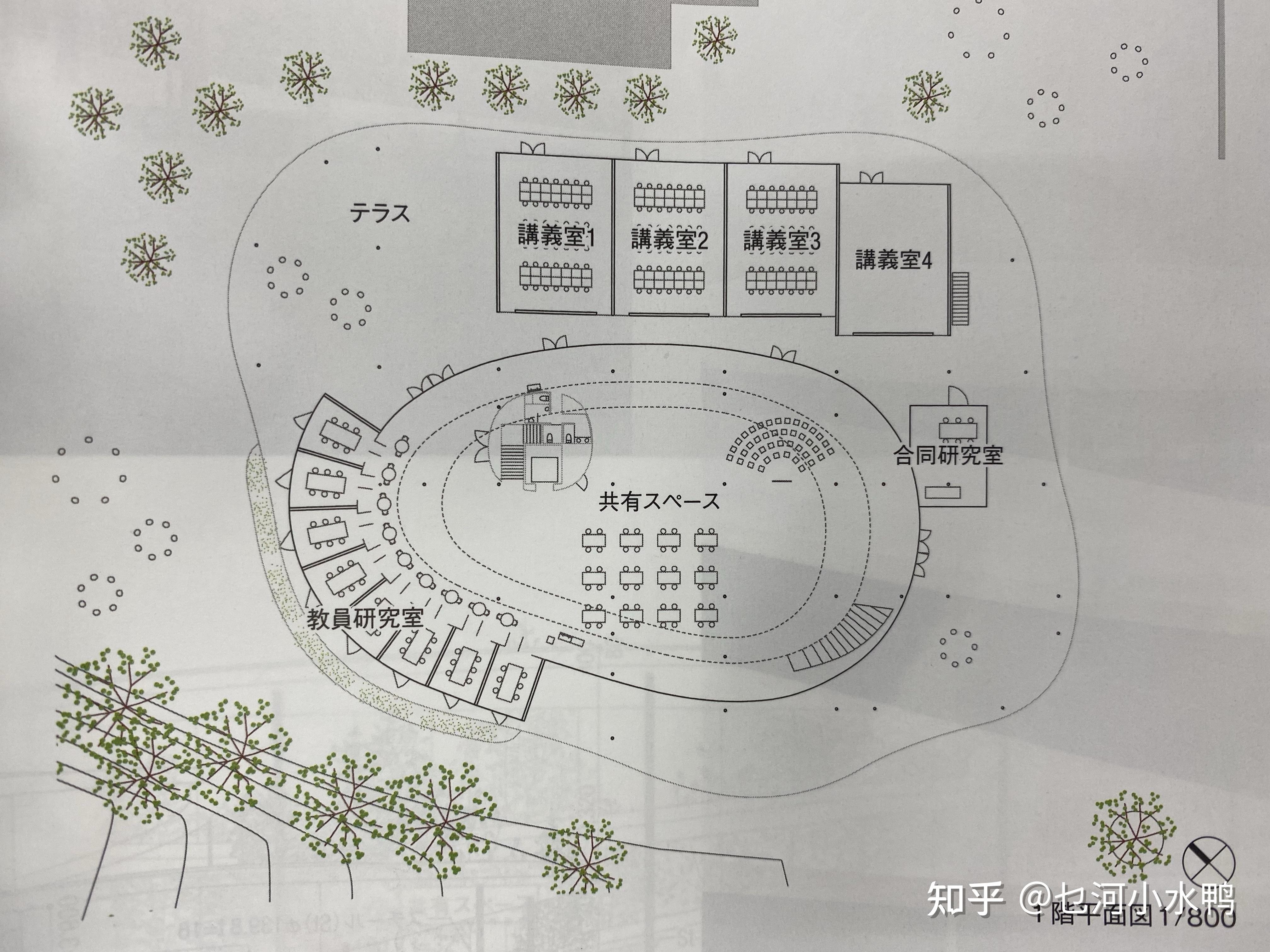 请问有人能解析分析一下妹岛和世设计的大阪艺术大学文理学院这个建筑