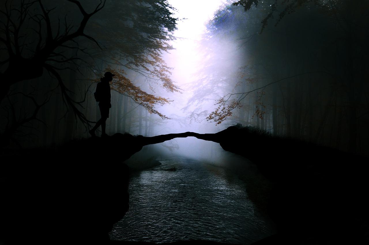 2. 车流疏导策略