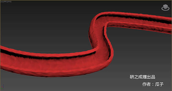 3dmax构建血管模型