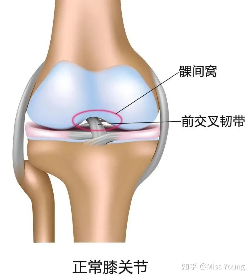 身体柔软性好有何健康风险?
