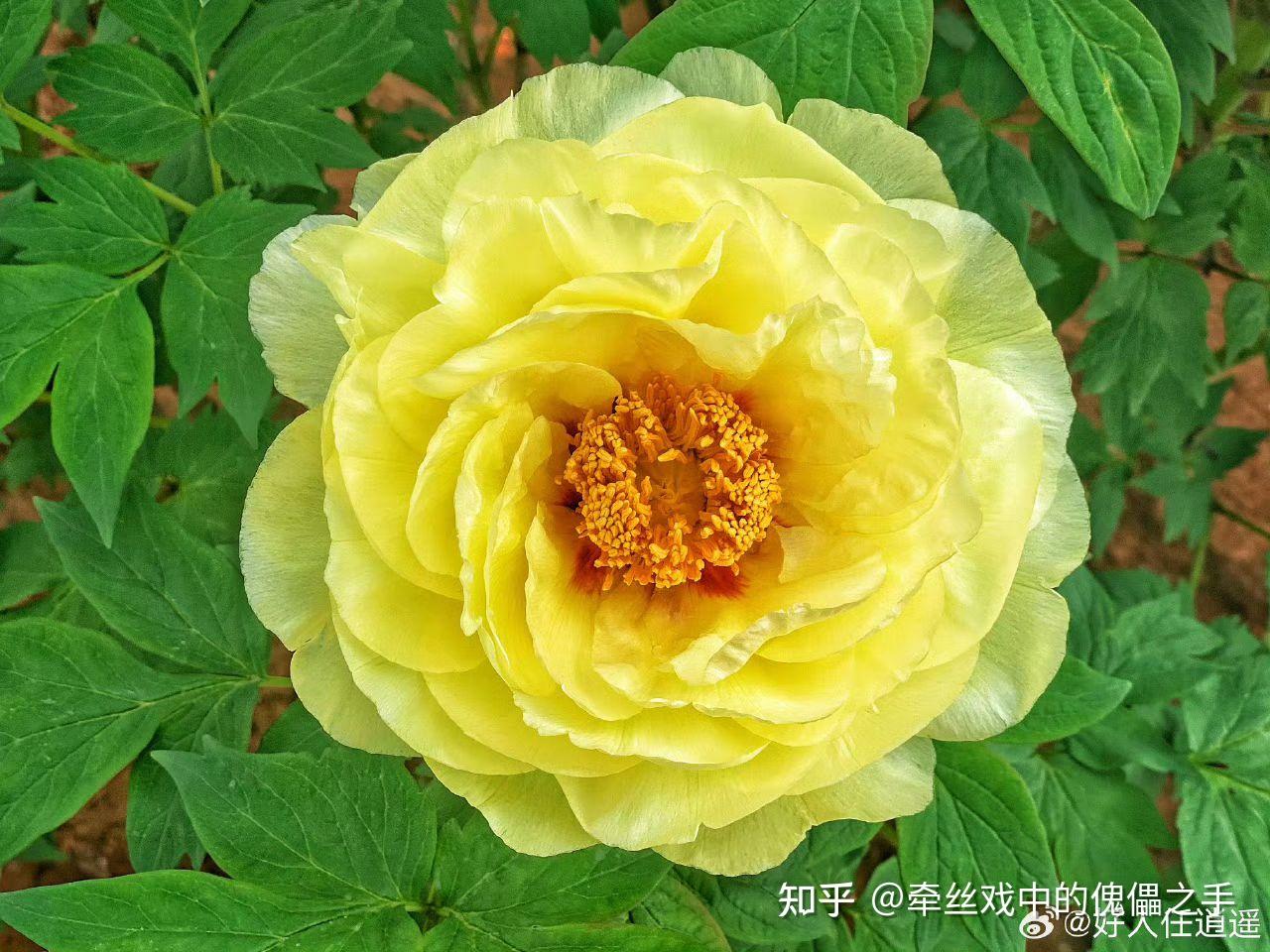 《红楼梦》里，贾宝玉讨厌儒家文化吗？ - 知乎