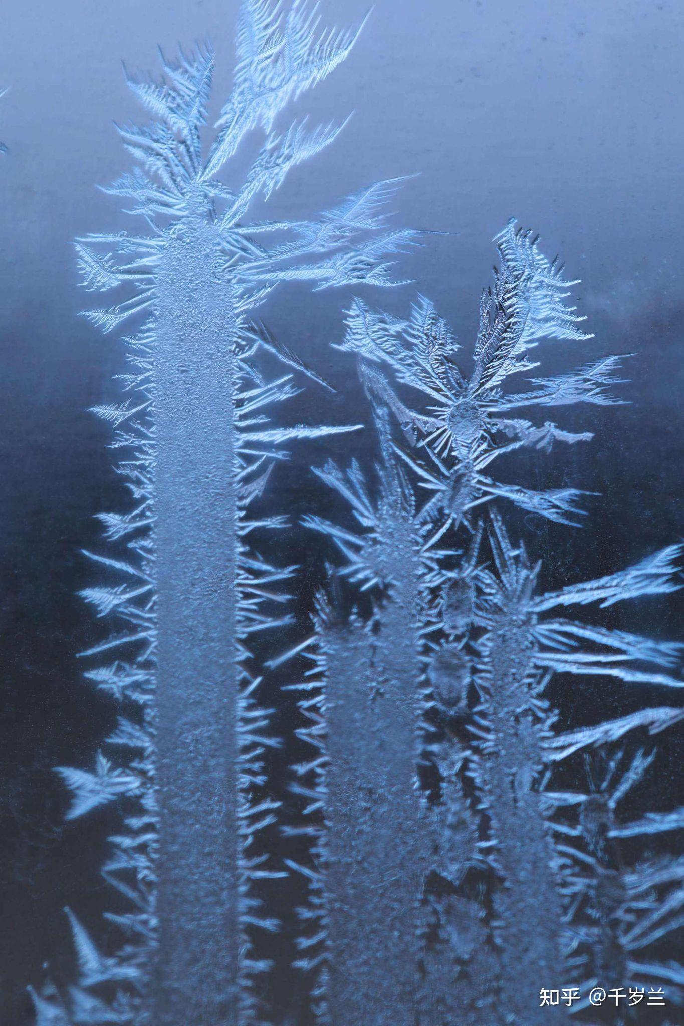 文笔挑战上句夏虫不可语冰下几句您怎么对可以的话能解释解释吗