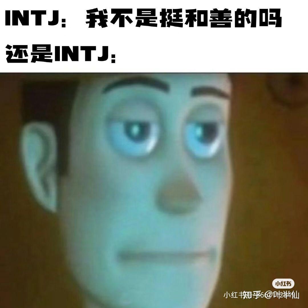 INTJ梗图一览 - 知乎