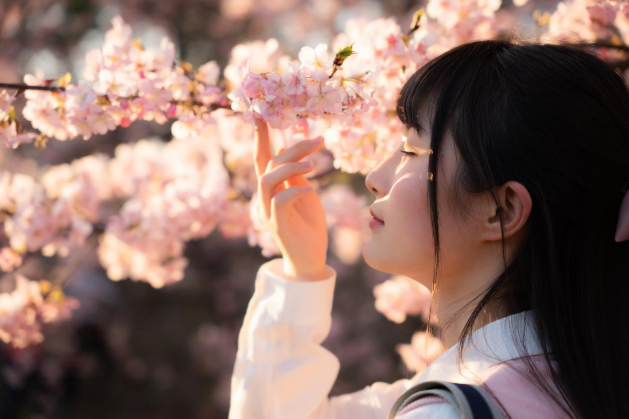 Sigma收購鏡頭