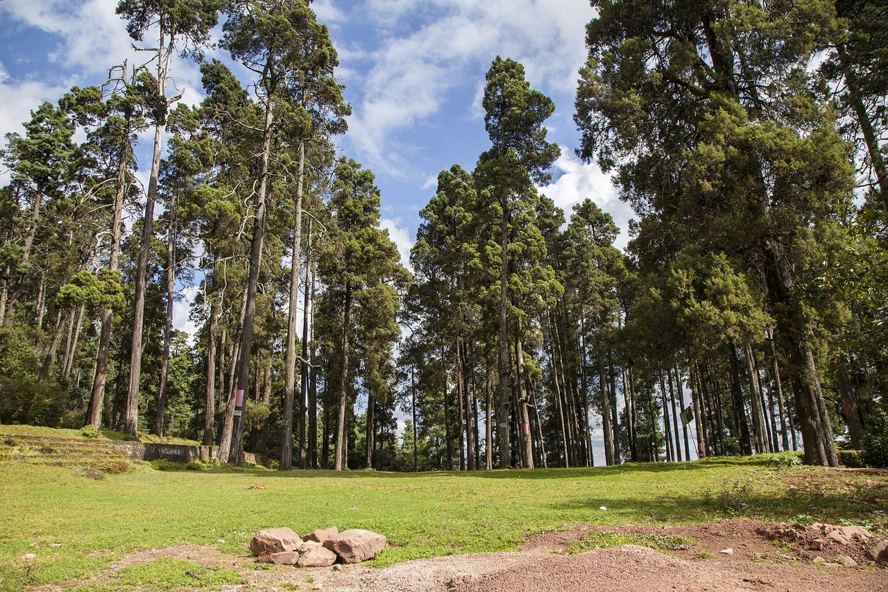 5. 大姚房价预测