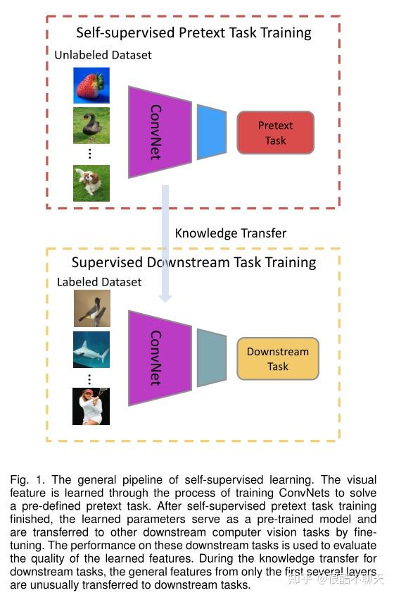 【论文笔记】Self-supervised Visual Feature Learning with Deep Neural Networks ...