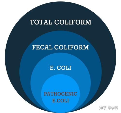 2岁宝宝游泳池拉肚子商家索赔2100元是否合理带小宝宝