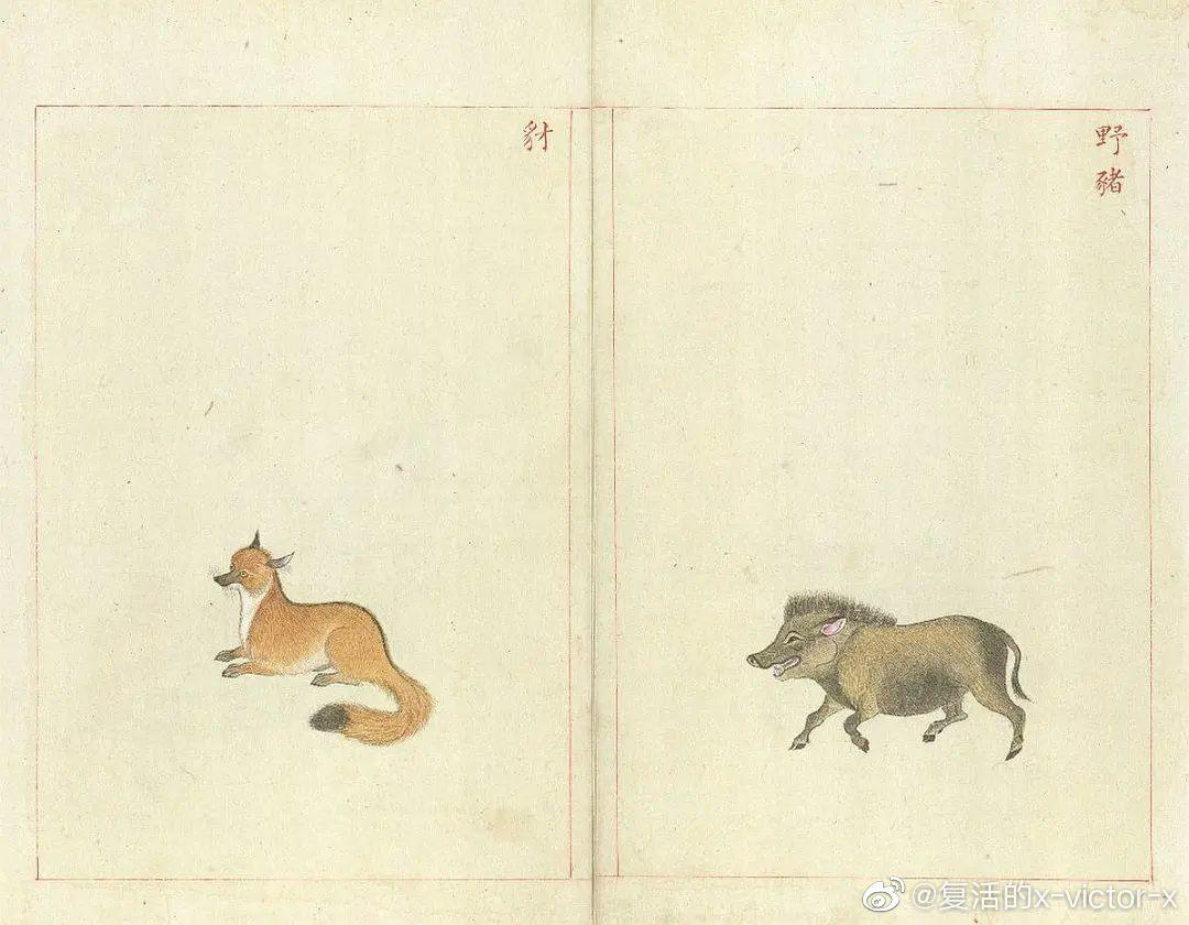 为什么浮世绘上的老虎长的和妖怪一样? - 知乎