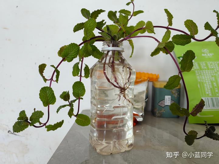 人，可以废物到什么程度？