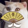 液化宫殿