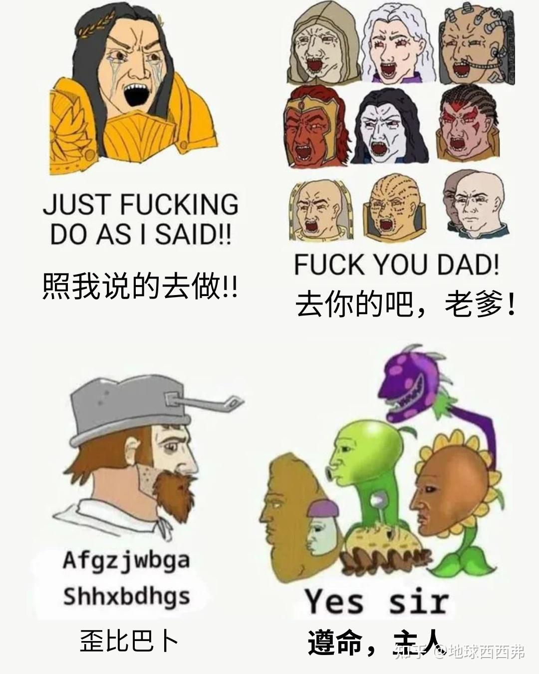 有没有植物大战僵尸相关的梗 …