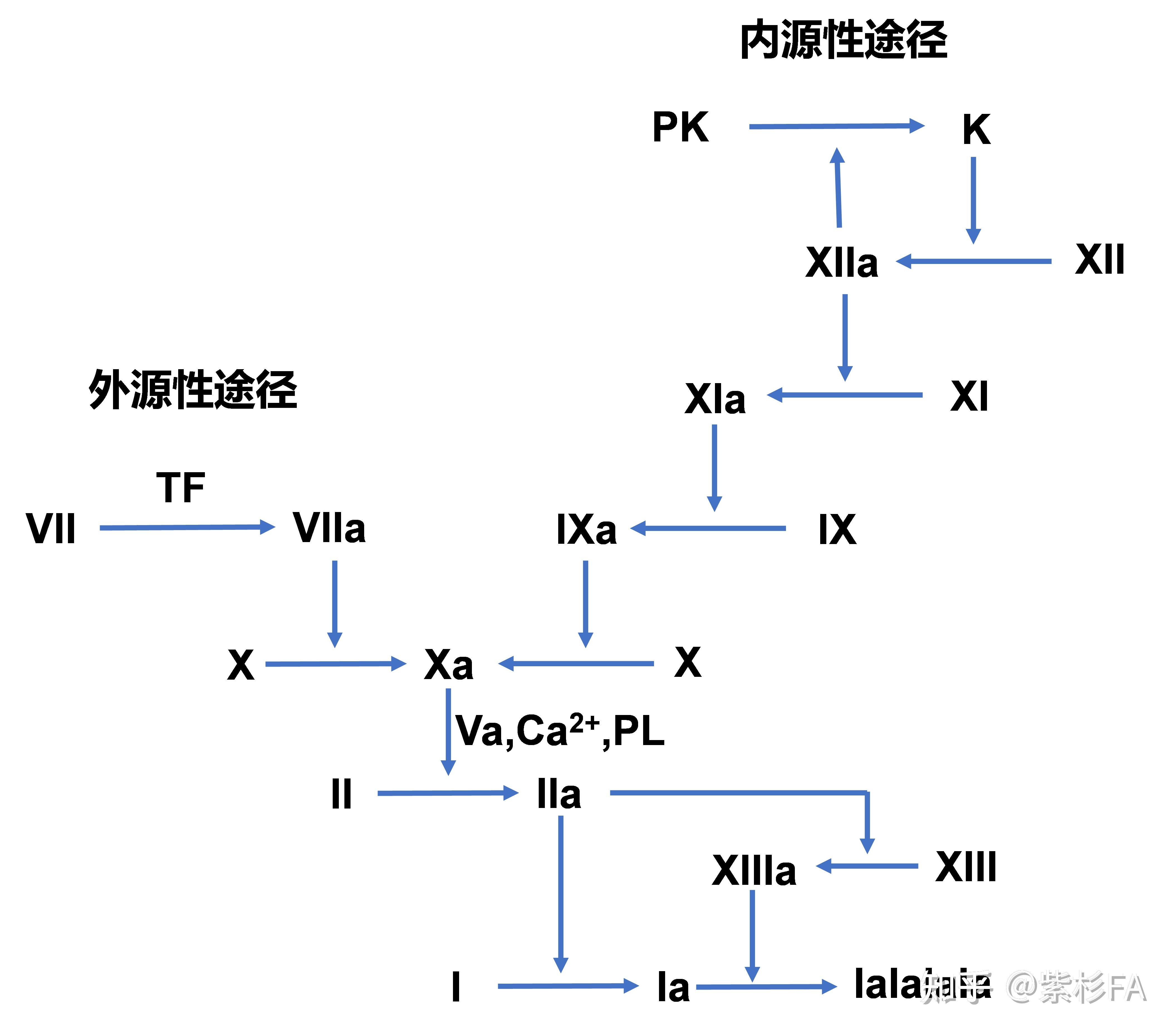 2022年医保目录药品-XB01A抗血栓形成药 - 知乎