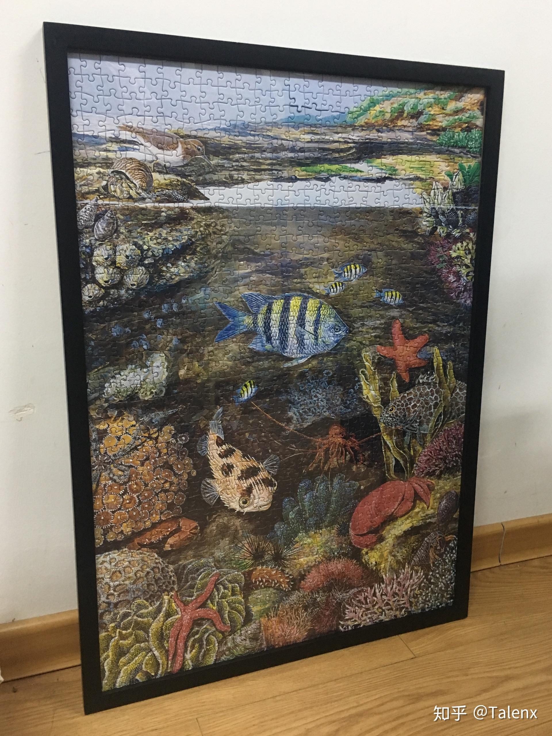 不分区的一千块拼图对于初学者要多长时间才能完成